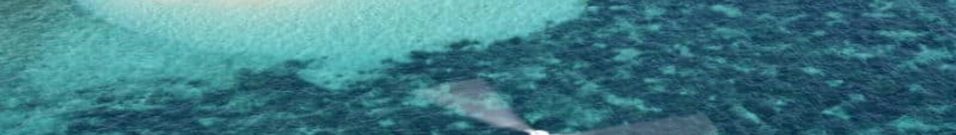 Antigua VC Bird : închiriere avion privat 