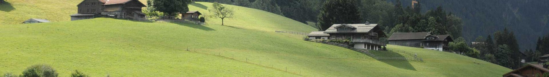 Paris - Gstaad : închiriere avion privat 