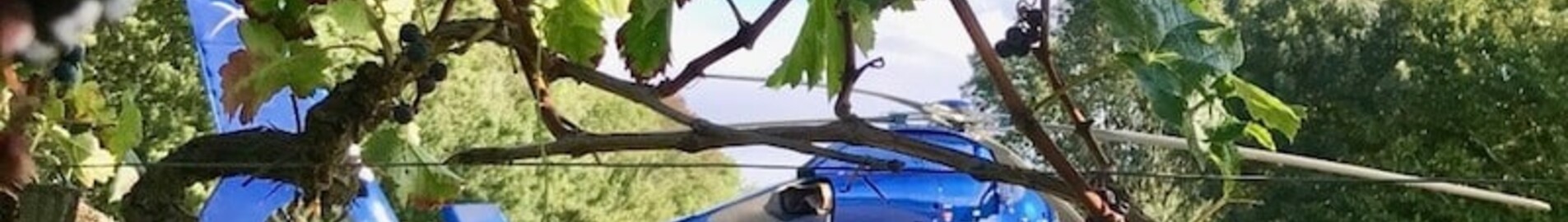 Escapade gastronomice cu elicopterul