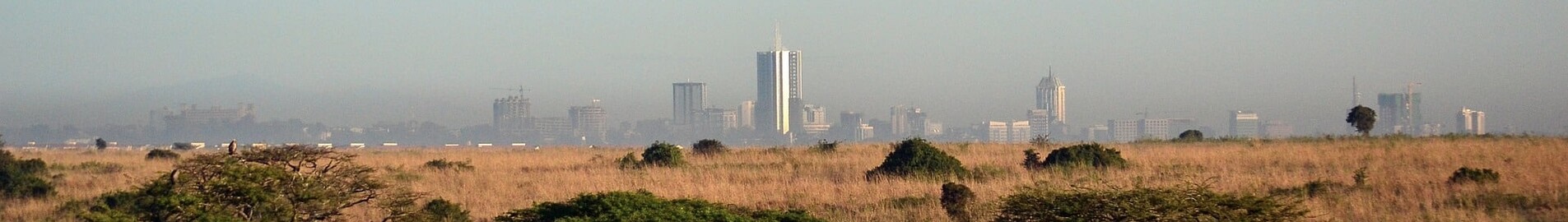 Nairobi: închiriere avion privat 
