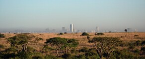 Nairobi: închiriere avion privat 