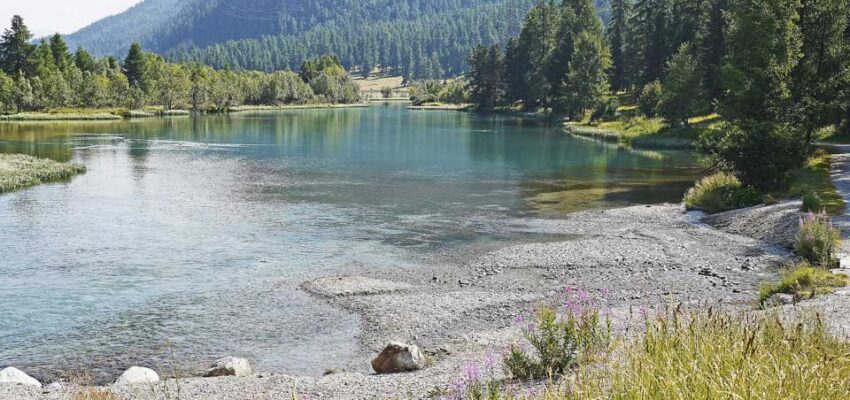 Un lac serein avec des arbres et des montagnes.