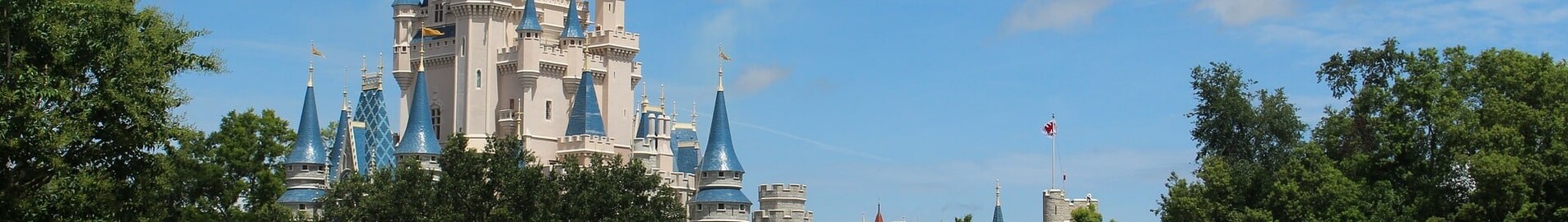 Orlando : închiriere avion privat 