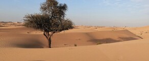 Abu Dhabi: închiriere de avioane private 