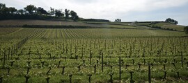 Millau Larzac: închiriere avion privat