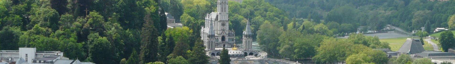 Tarbes Lourdes Pyrenees : închiriere avion privat 