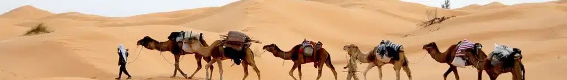 Tunis: închiriere de avioane private