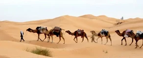 Tunis: închiriere de avioane private