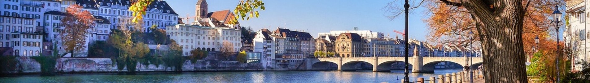 Basel Mulhouse Fribourg : închiriere avion privat 