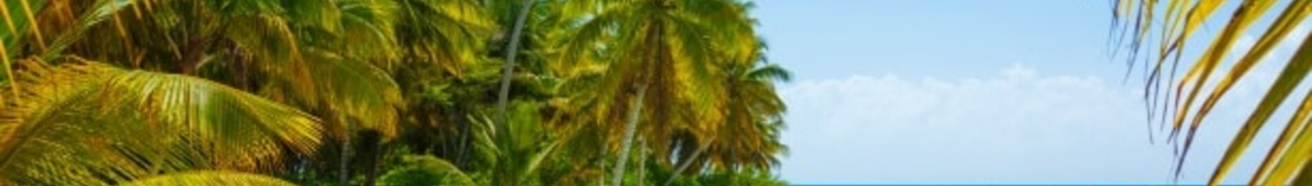 Caraibe: închiriere de avioane private 