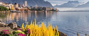 Hamburg - Geneva : închiriere avion privat