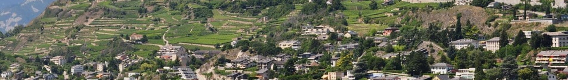 Sion : închiriere avion privat 
