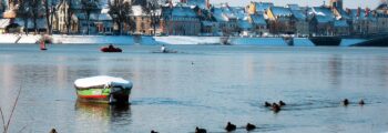 Ville sereine au bord de la rivière, canards nageant, maisons en arrière-plan.