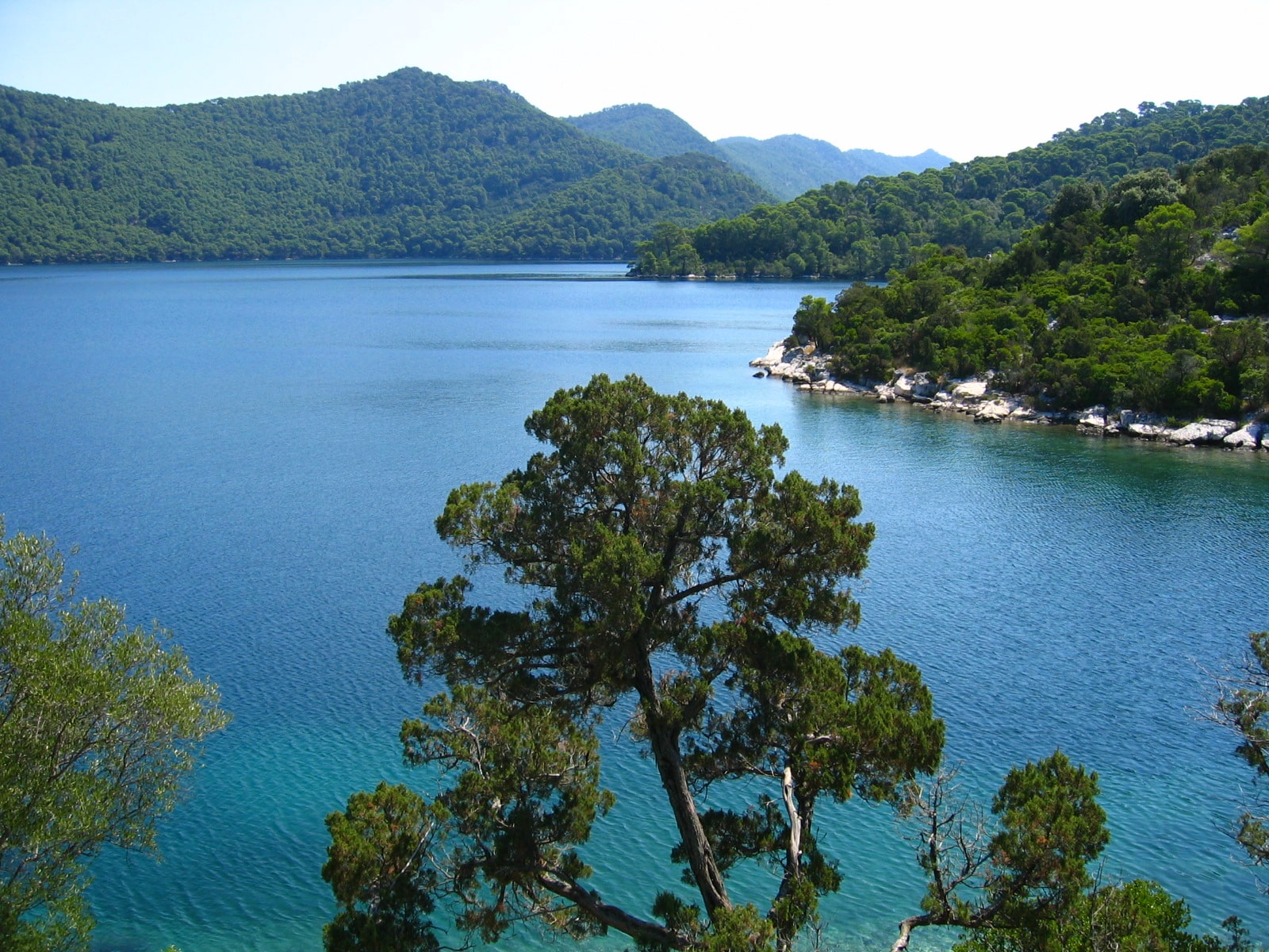 Mljet