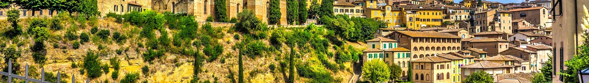 Siena: închiriere avion privat 