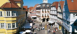 Lahr Black Forest: închiriere avion privat 