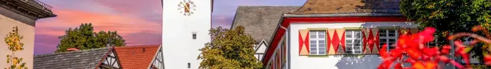 Arnsberg: închiriere avion privat 