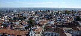 Viseu : închiriere avion privat 