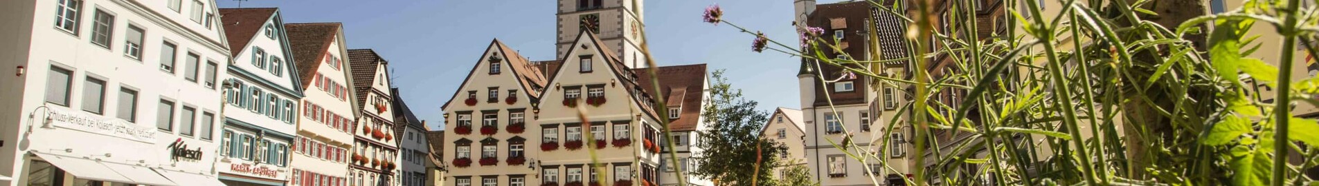 Biberach An Der Riss : închiriere avion privat 