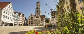 Biberach An Der Riss : închiriere avion privat 