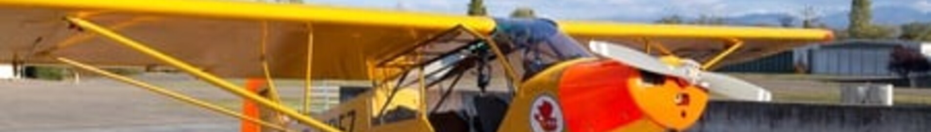 Bremgarten: închiriere avion privat 