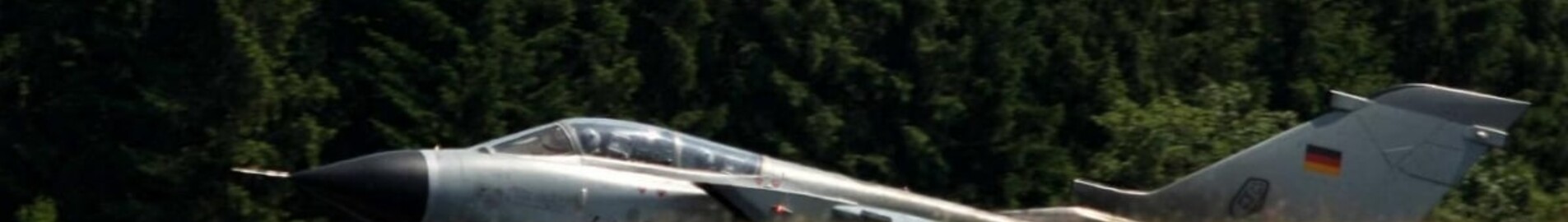 Buchel : închiriere avion privat 