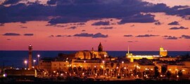 Toledo El Tietar : închiriere avion privat 