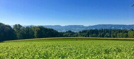 Închiriere avion privat în Triengen 