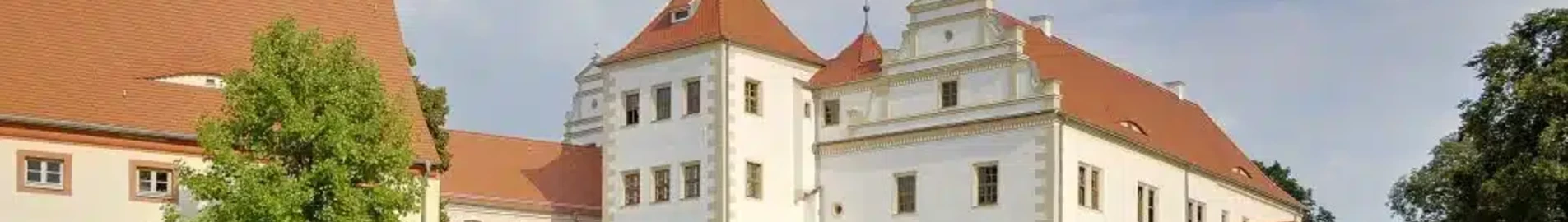 Finsterwalde: închiriere avion privat 