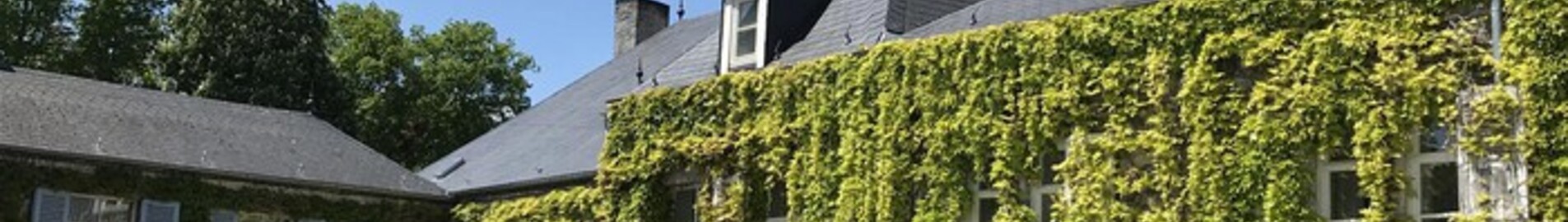 Florennes : închiriere avion privat 