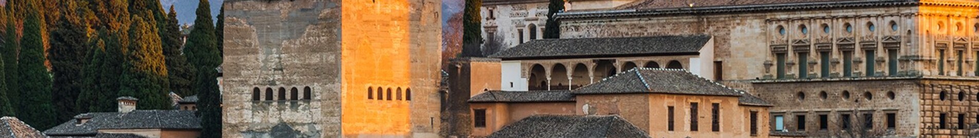 Granada Armilla : închiriere avion privat 