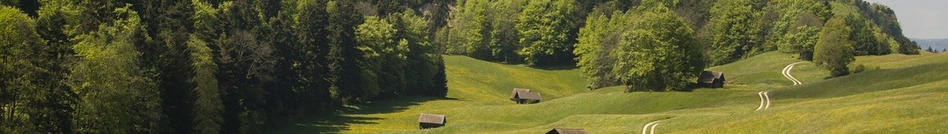 Granges: închiriere avion privat 