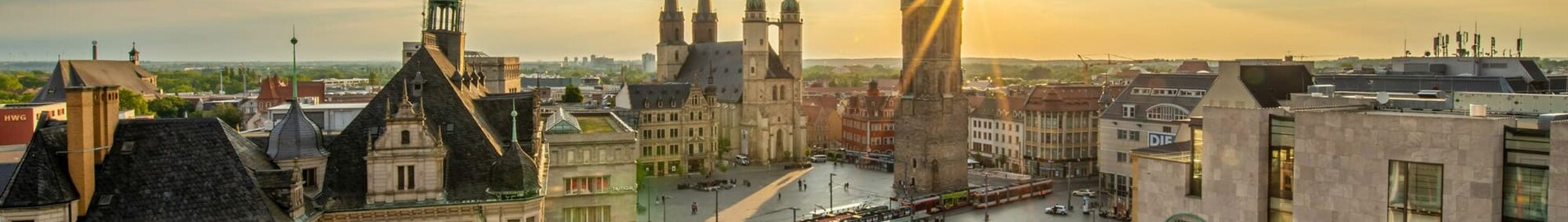 Halle Oppin: închiriere avion privat