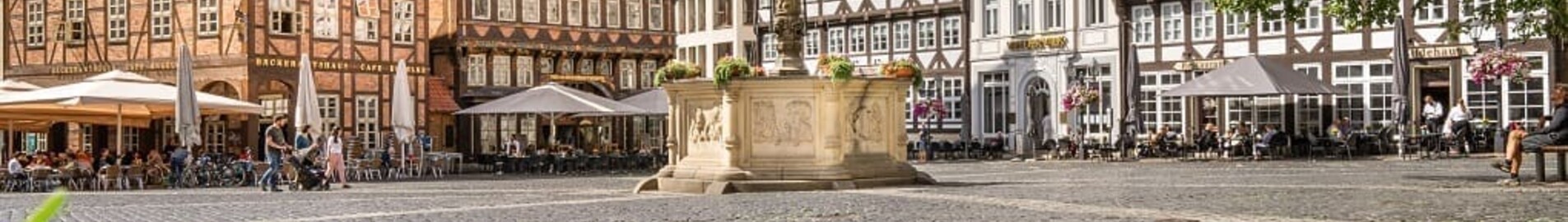 Hildesheim: închiriere avion privat 