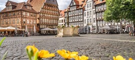 Kassel : închiriere avion privat 