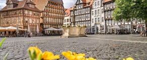 Hildesheim: închiriere avion privat 