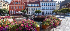 Bremgarten: închiriere avion privat 