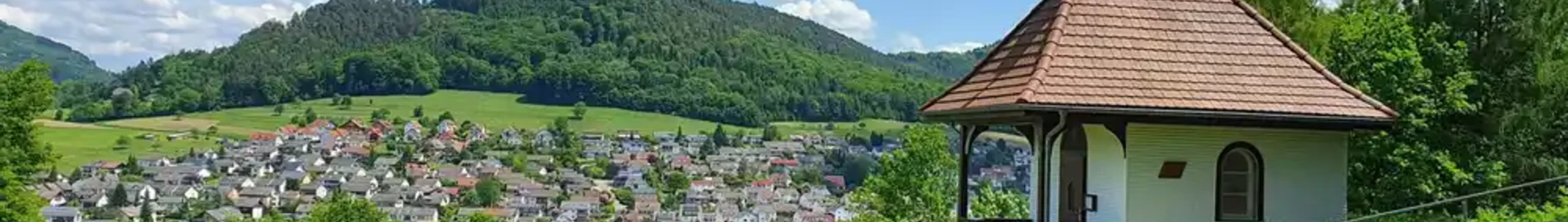 Lahr Black Forest: închiriere avion privat 