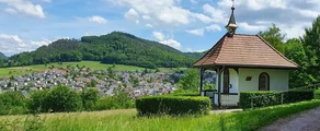 Lahr Black Forest: închiriere avion privat 
