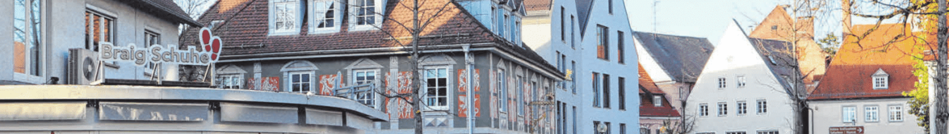 Laupheim: închiriere avion privat 