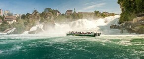 Neuhausen Ob Eck: închiriere avion privat 