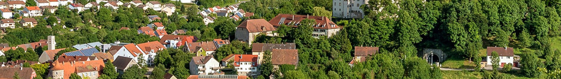 Niederstetten: închiriere avion privat 
