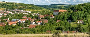 Niederstetten: închiriere avion privat 