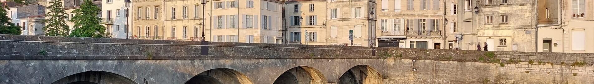 Niort Souche: închiriere avion privat 