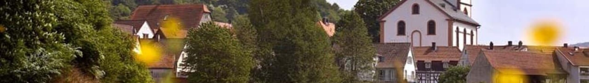 Reichelsheim: închiriere avion privat 