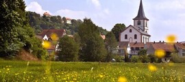 Stadtlohn Wenningfel : închiriere avion privat 