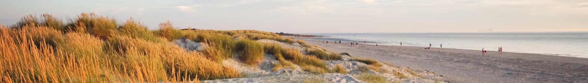 Wittering : închiriere avion privat 