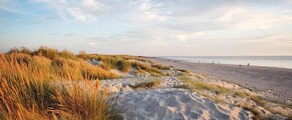 Wittering : închiriere avion privat 