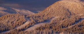 Are Ostersund : închiriere avion privat