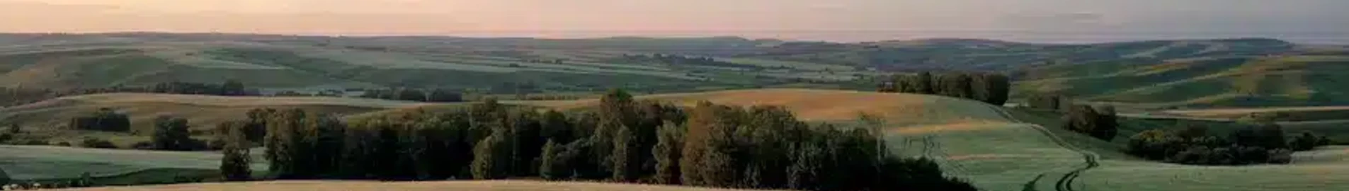 Barnaul : închiriere avion privat